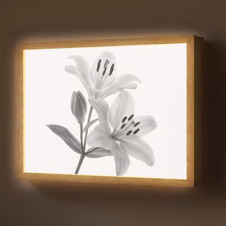 Lightbox - Wandlamp - Lelies - Elegant - Zwart - Wit — 1