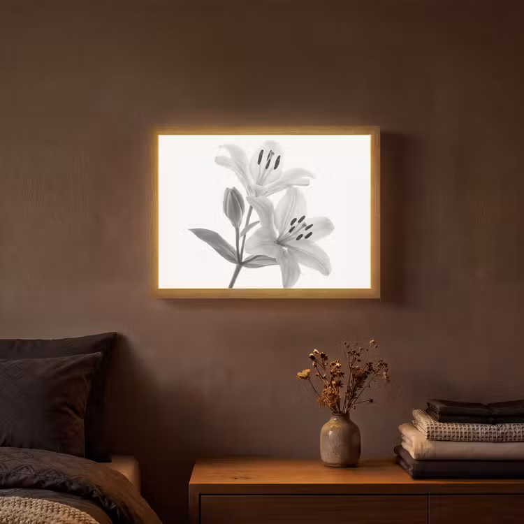 Lightbox - Wandlamp - Lelies - Elegant - Zwart - Wit — 3