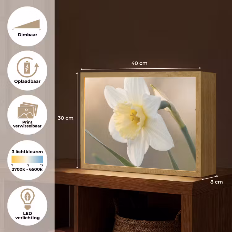 Lightbox - Wandlamp - Narcis - Bloem - Minimalistisch — 10