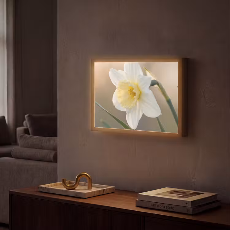 Lightbox - Wandlamp - Narcis - Bloem - Minimalistisch — 2