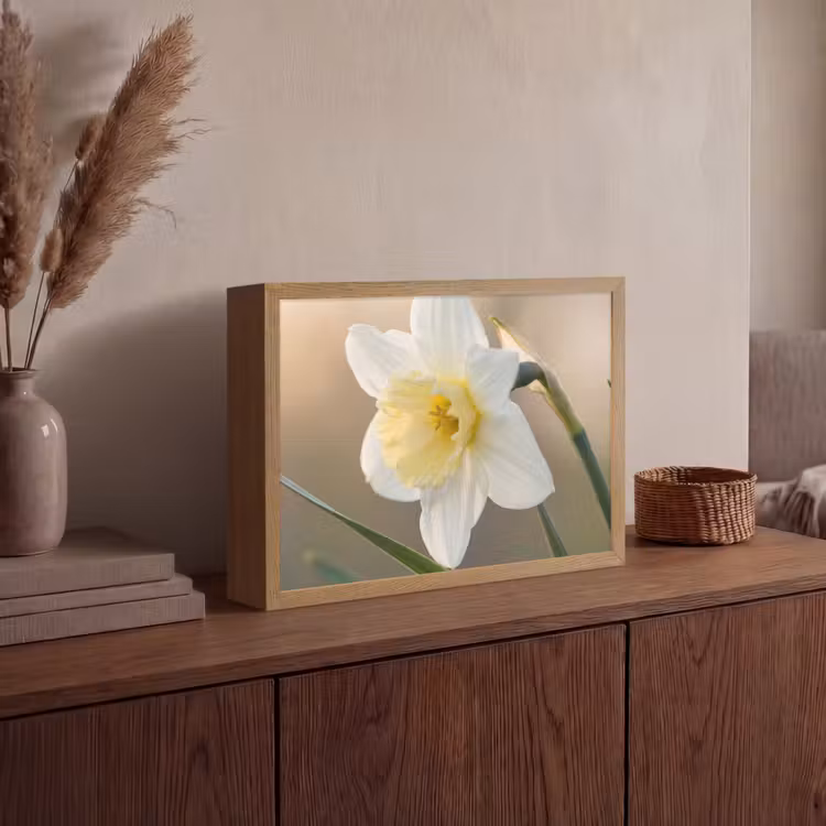 Lightbox - Wandlamp - Narcis - Bloem - Minimalistisch — 4