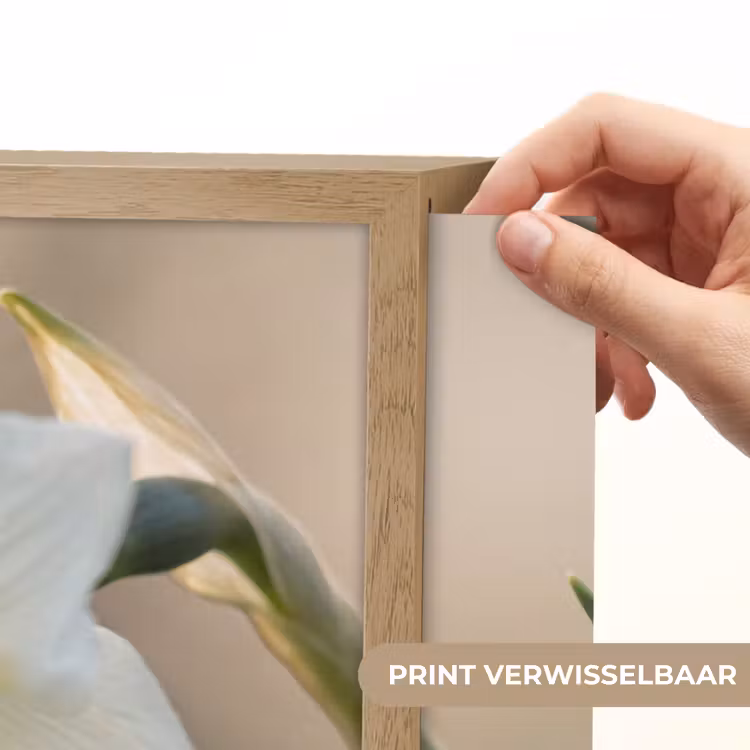 Lightbox - Wandlamp - Narcis - Bloem - Minimalistisch — 5