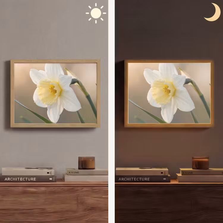 Lightbox - Wandlamp - Narcis - Bloem - Minimalistisch — 6