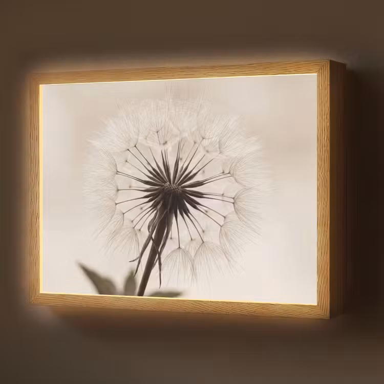 Lightbox - Wandlamp - Paardenbloem - Minimalistisch - Wit — 1