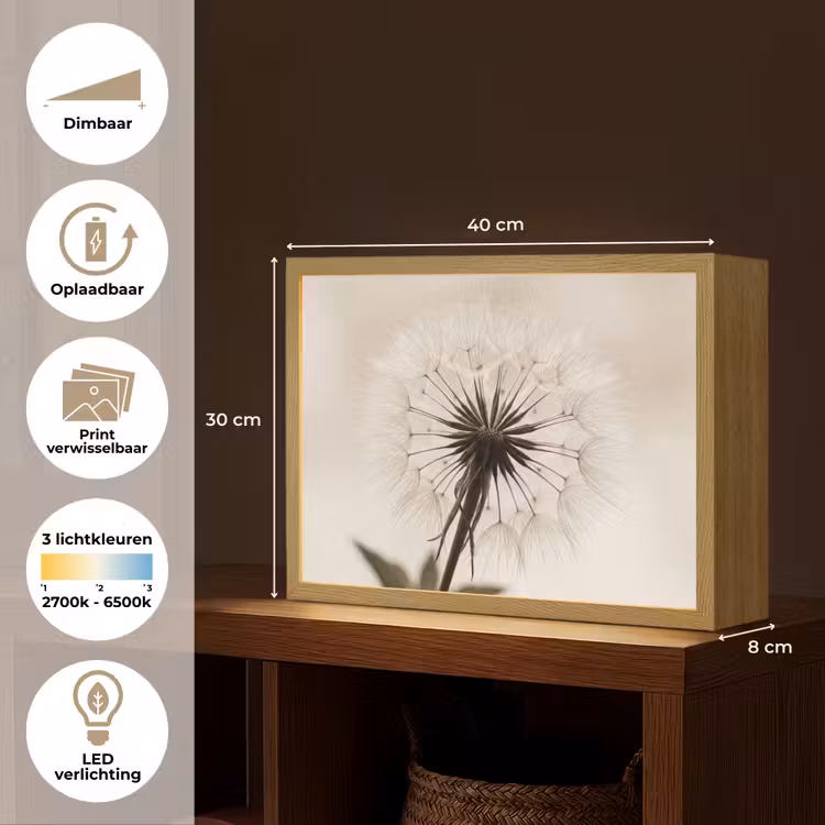Lightbox - Wandlamp - Paardenbloem - Minimalistisch - Wit — 10