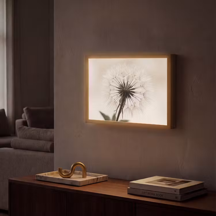 Lightbox - Wandlamp - Paardenbloem - Minimalistisch - Wit — 2