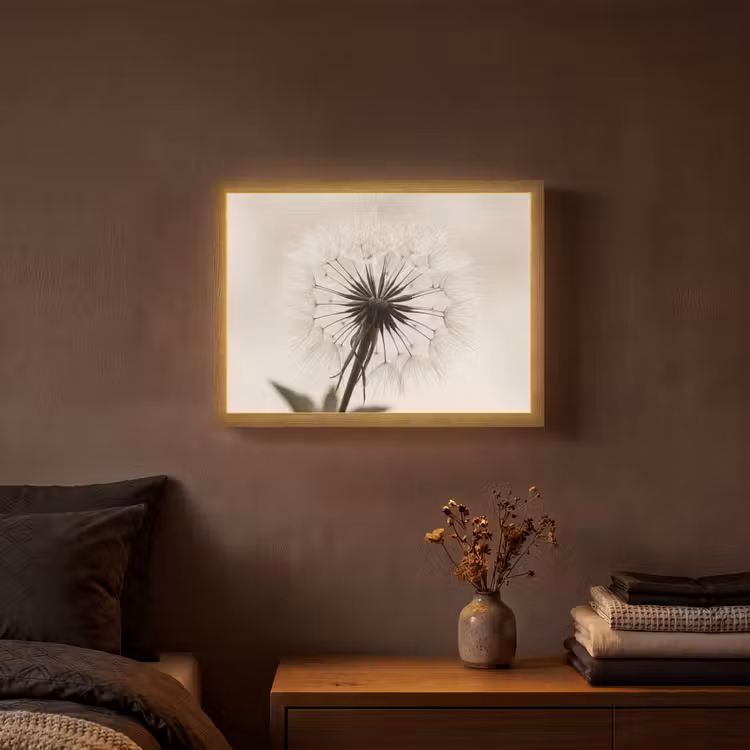 Lightbox - Wandlamp - Paardenbloem - Minimalistisch - Wit — 3