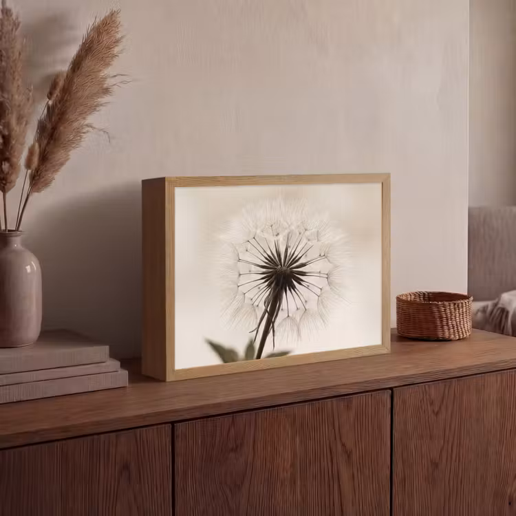 Lightbox - Wandlamp - Paardenbloem - Minimalistisch - Wit — 4