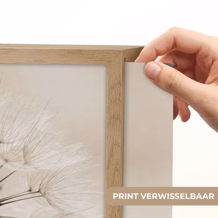 Lightbox - Wandlamp - Paardenbloem - Minimalistisch - Wit — 5