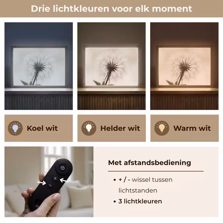 Lightbox - Wandlamp - Paardenbloem - Minimalistisch - Wit — 8