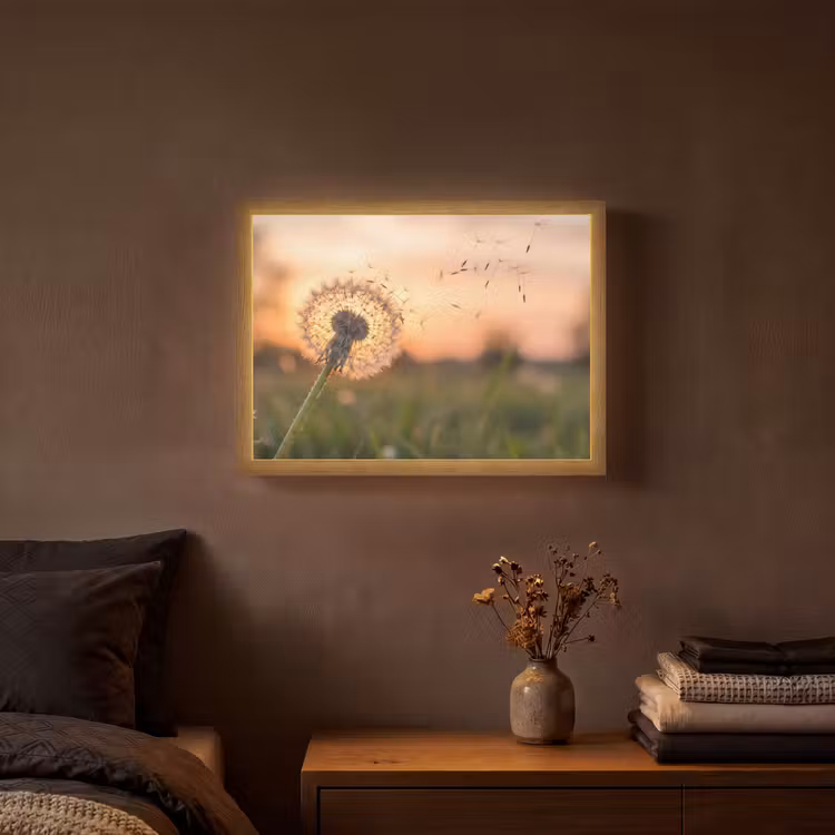 Lightbox - Wandlamp - Paardenbloem - Zonsondergang - Veld — 3