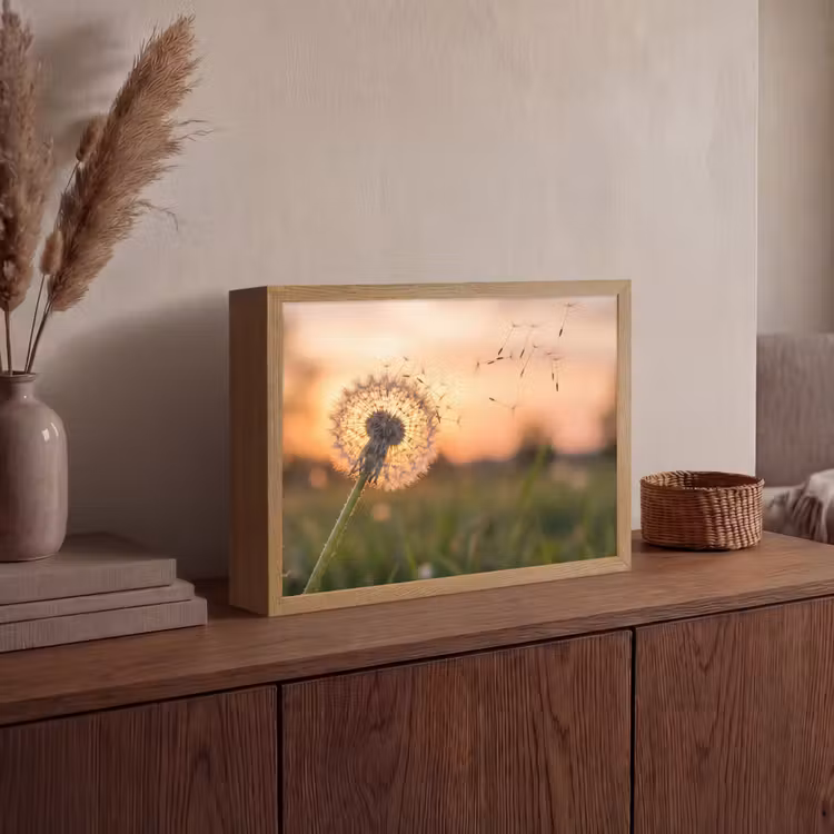 Lightbox - Wandlamp - Paardenbloem - Zonsondergang - Veld — 4