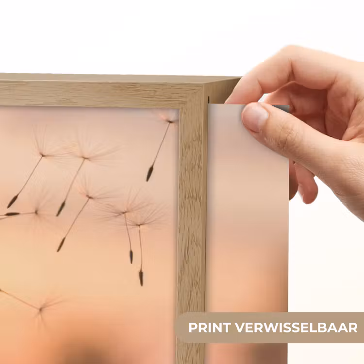 Lightbox - Wandlamp - Paardenbloem - Zonsondergang - Veld — 5