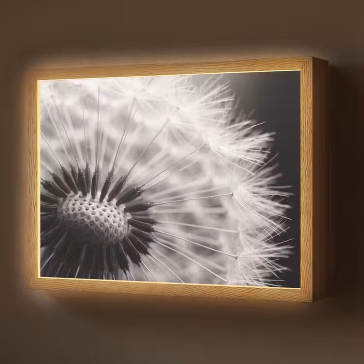 Lightbox - Wandlamp - Paardenbloem - Zwart - Wit — 1