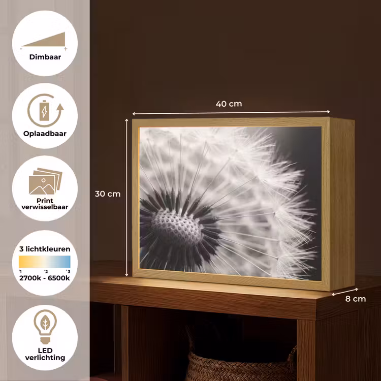 Lightbox - Wandlamp - Paardenbloem - Zwart - Wit — 10