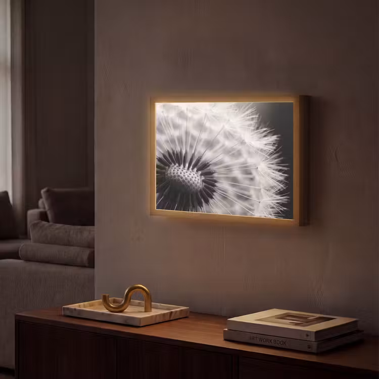 Lightbox - Wandlamp - Paardenbloem - Zwart - Wit — 2