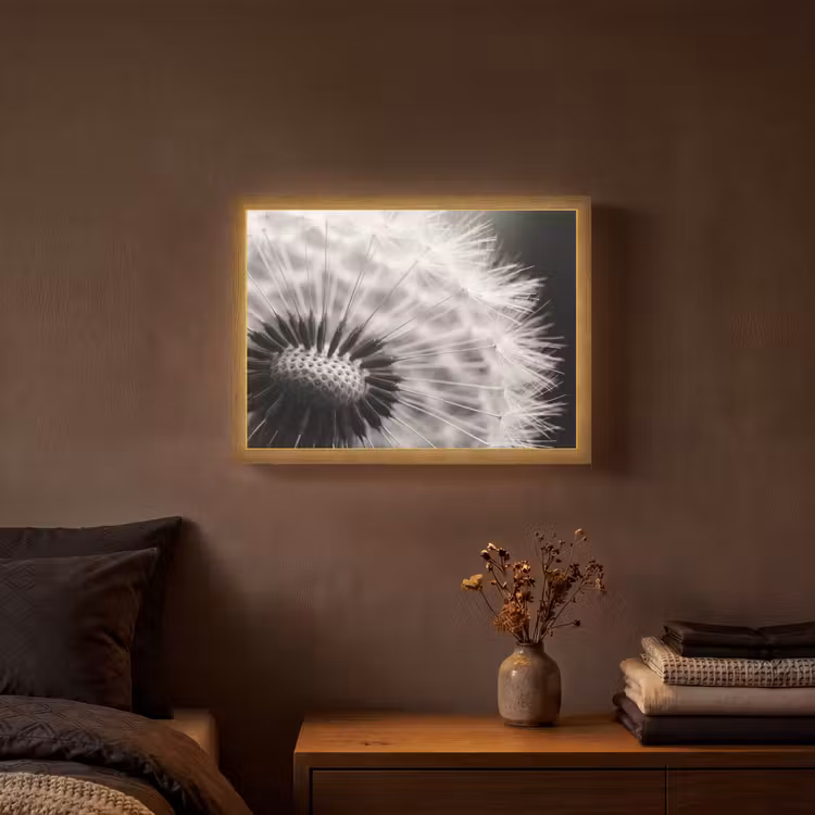 Lightbox - Wandlamp - Paardenbloem - Zwart - Wit — 3