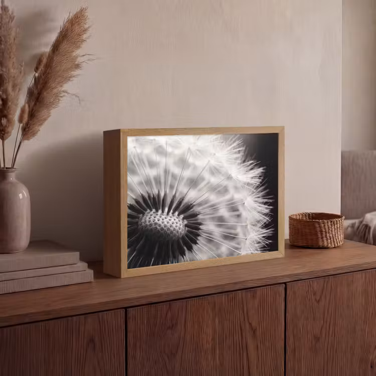 Lightbox - Wandlamp - Paardenbloem - Zwart - Wit — 4