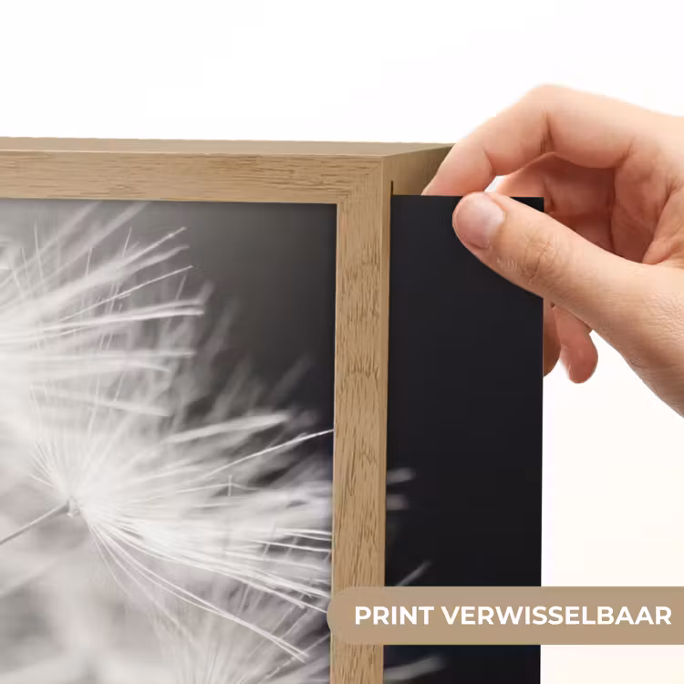Lightbox - Wandlamp - Paardenbloem - Zwart - Wit — 5