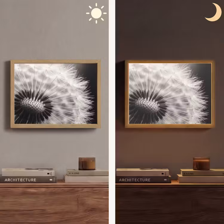 Lightbox - Wandlamp - Paardenbloem - Zwart - Wit — 6
