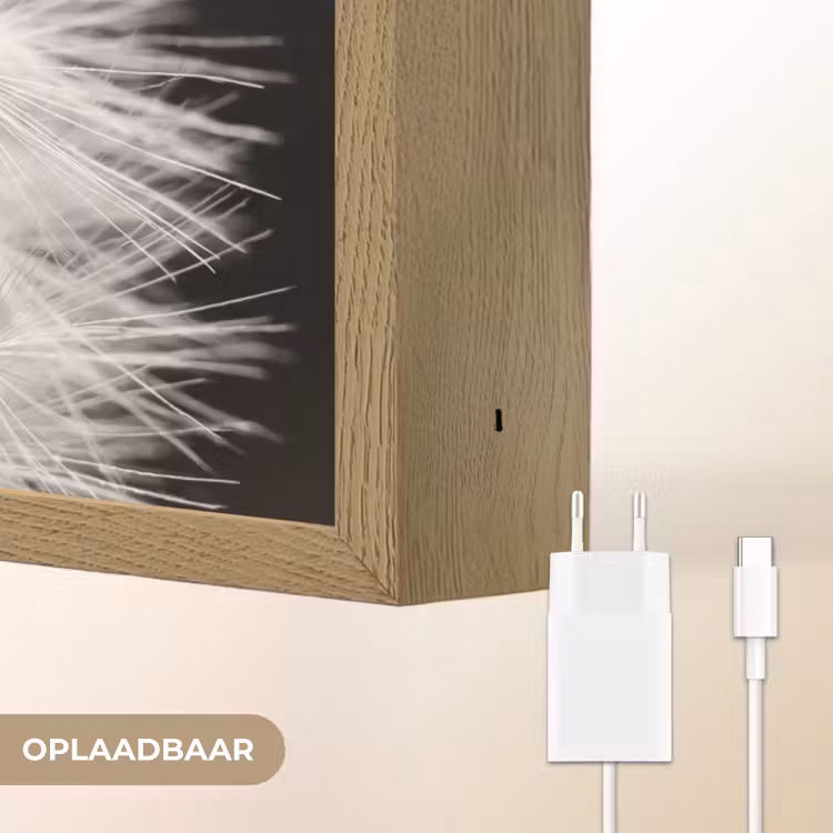 Lightbox - Wandlamp - Paardenbloem - Zwart - Wit — 7