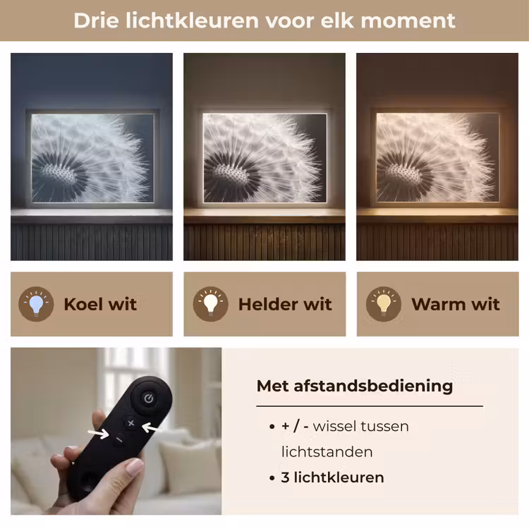 Lightbox - Wandlamp - Paardenbloem - Zwart - Wit — 8