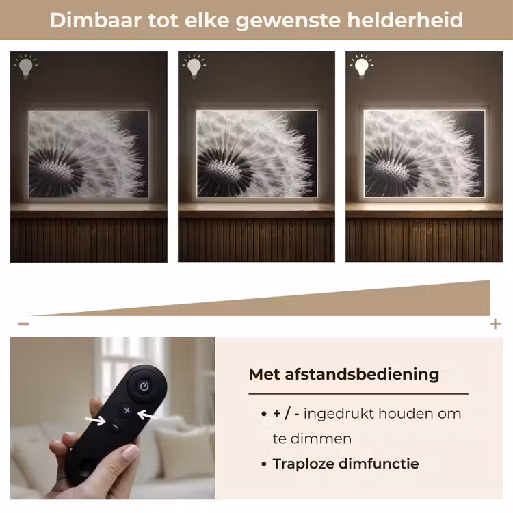 Lightbox - Wandlamp - Paardenbloem - Zwart - Wit — 9