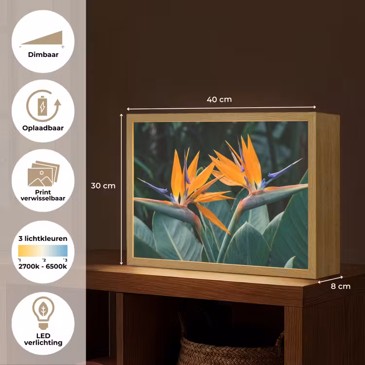 Lightbox - Wandlamp - Paradijsvogel - Bloem - Exotisch — 10