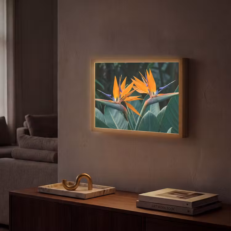 Lightbox - Wandlamp - Paradijsvogel - Bloem - Exotisch — 2