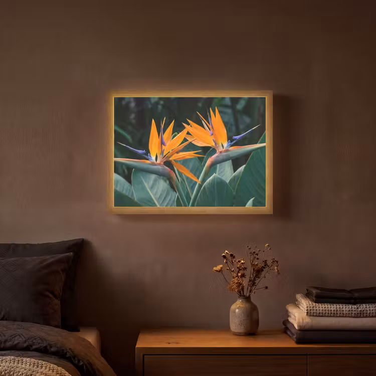 Lightbox - Wandlamp - Paradijsvogel - Bloem - Exotisch — 3