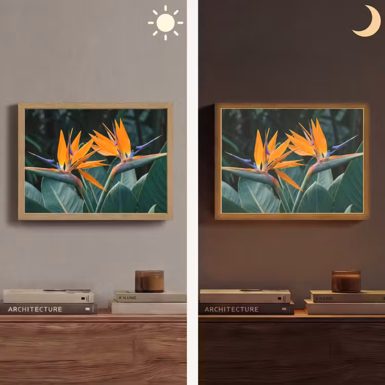 Lightbox - Wandlamp - Paradijsvogel - Bloem - Exotisch — 6