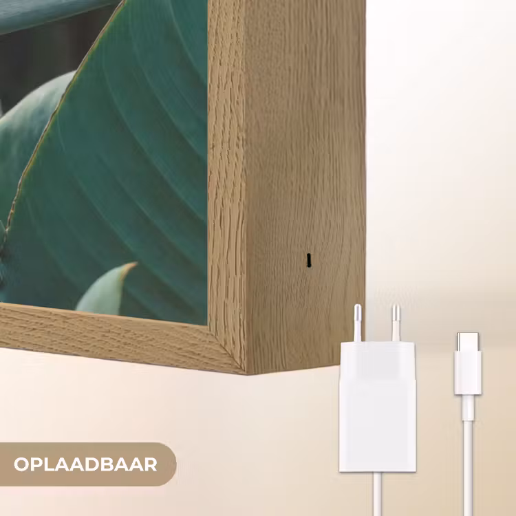 Lightbox - Wandlamp - Paradijsvogel - Bloem - Exotisch — 7