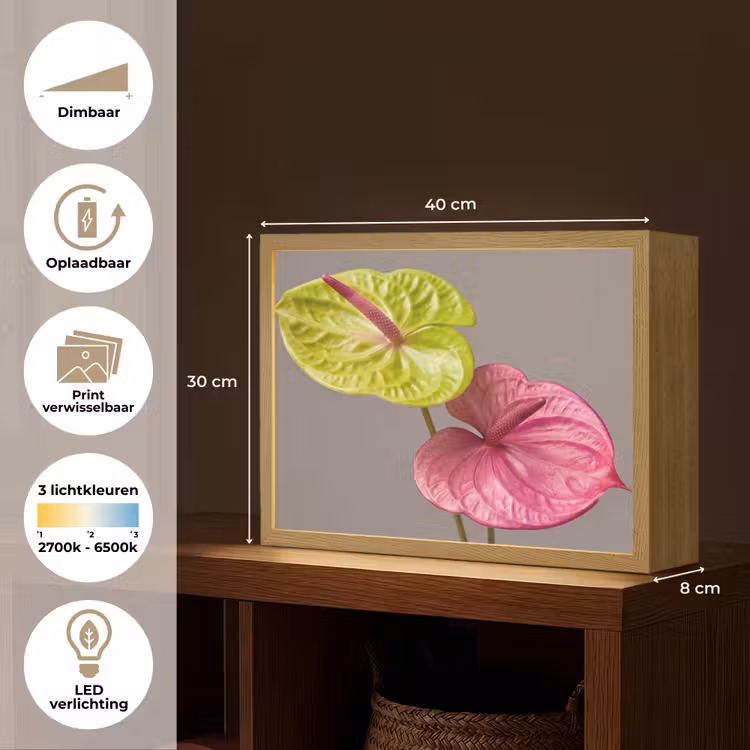 Lightbox - Wandlamp - Planten - Anthurium - Groen - Roze — 10