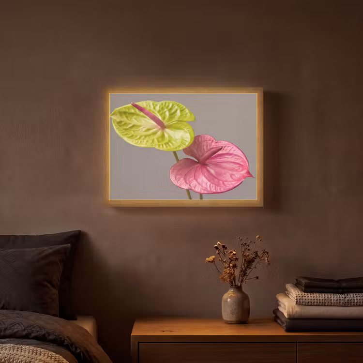 Lightbox - Wandlamp - Planten - Anthurium - Groen - Roze — 3