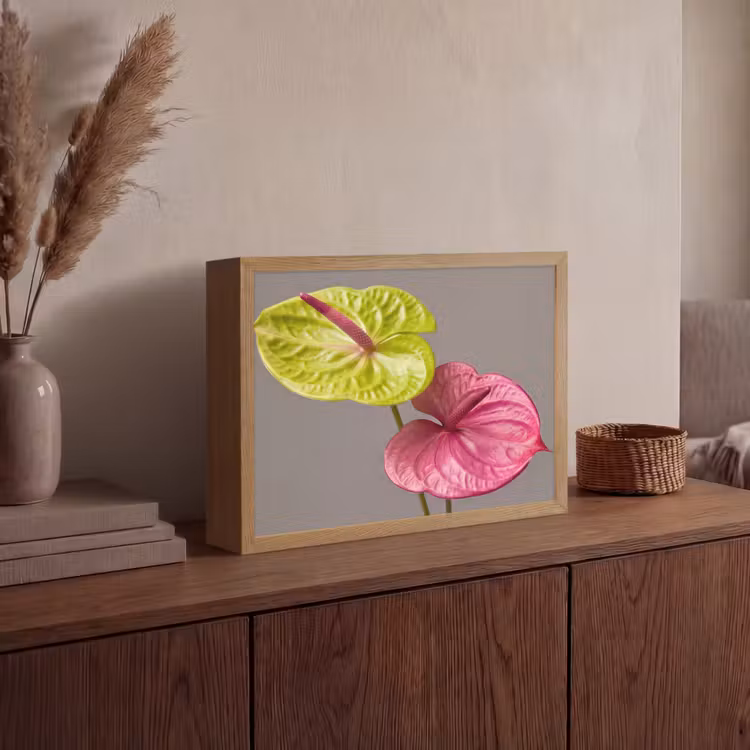 Lightbox - Wandlamp - Planten - Anthurium - Groen - Roze — 4