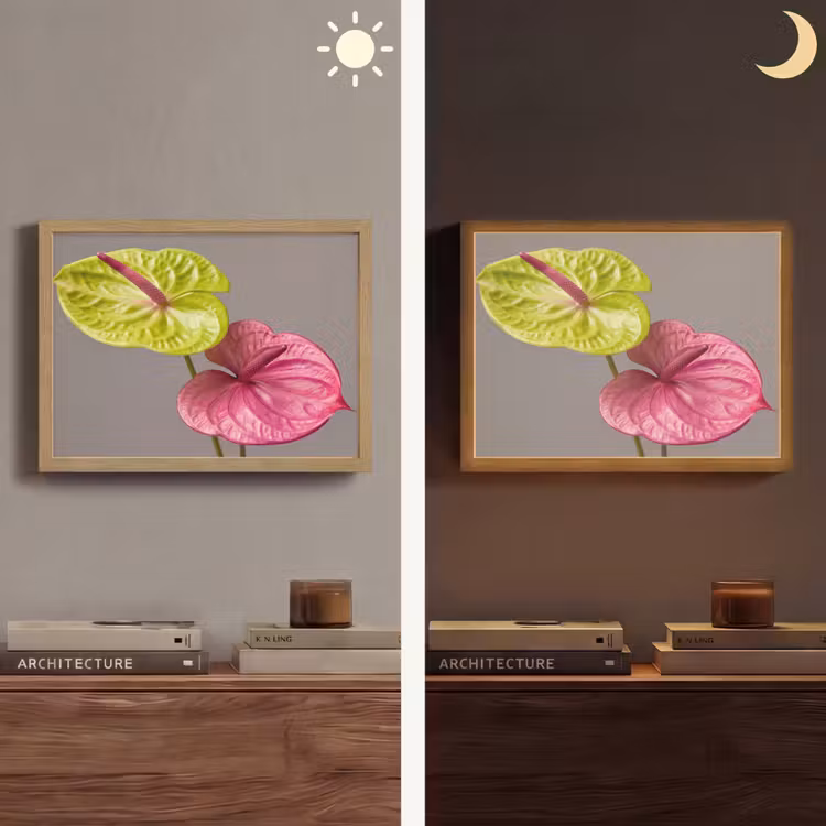 Lightbox - Wandlamp - Planten - Anthurium - Groen - Roze — 6