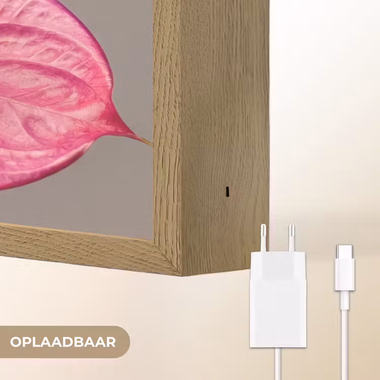 Lightbox - Wandlamp - Planten - Anthurium - Groen - Roze — 7