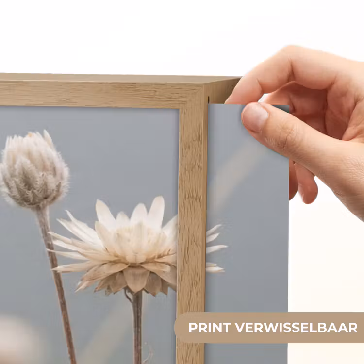 Lightbox - Wandlamp - Strobloemen - Wit - Daglicht — 5