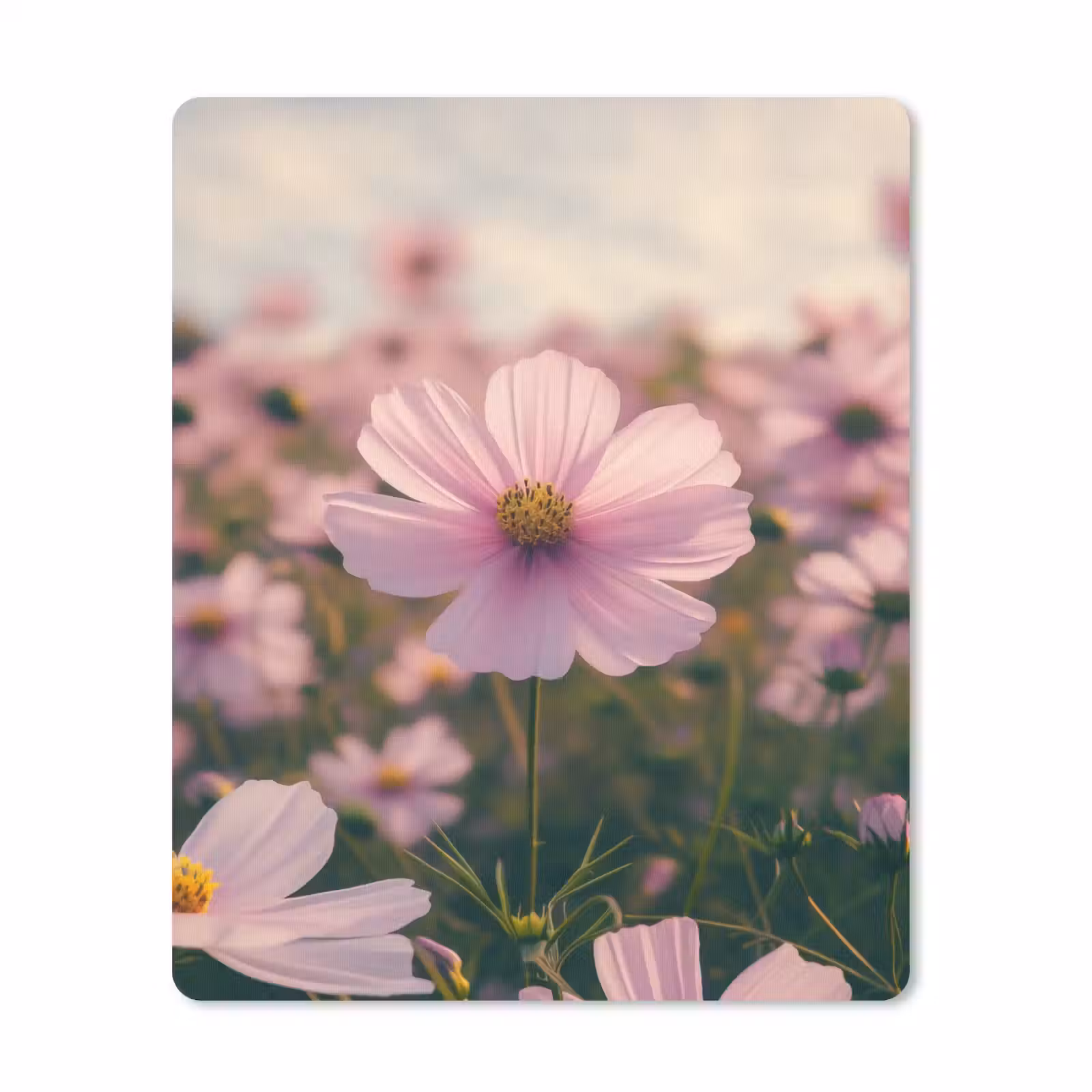 Muismat - Bloemen - Paars - Wazig — 1