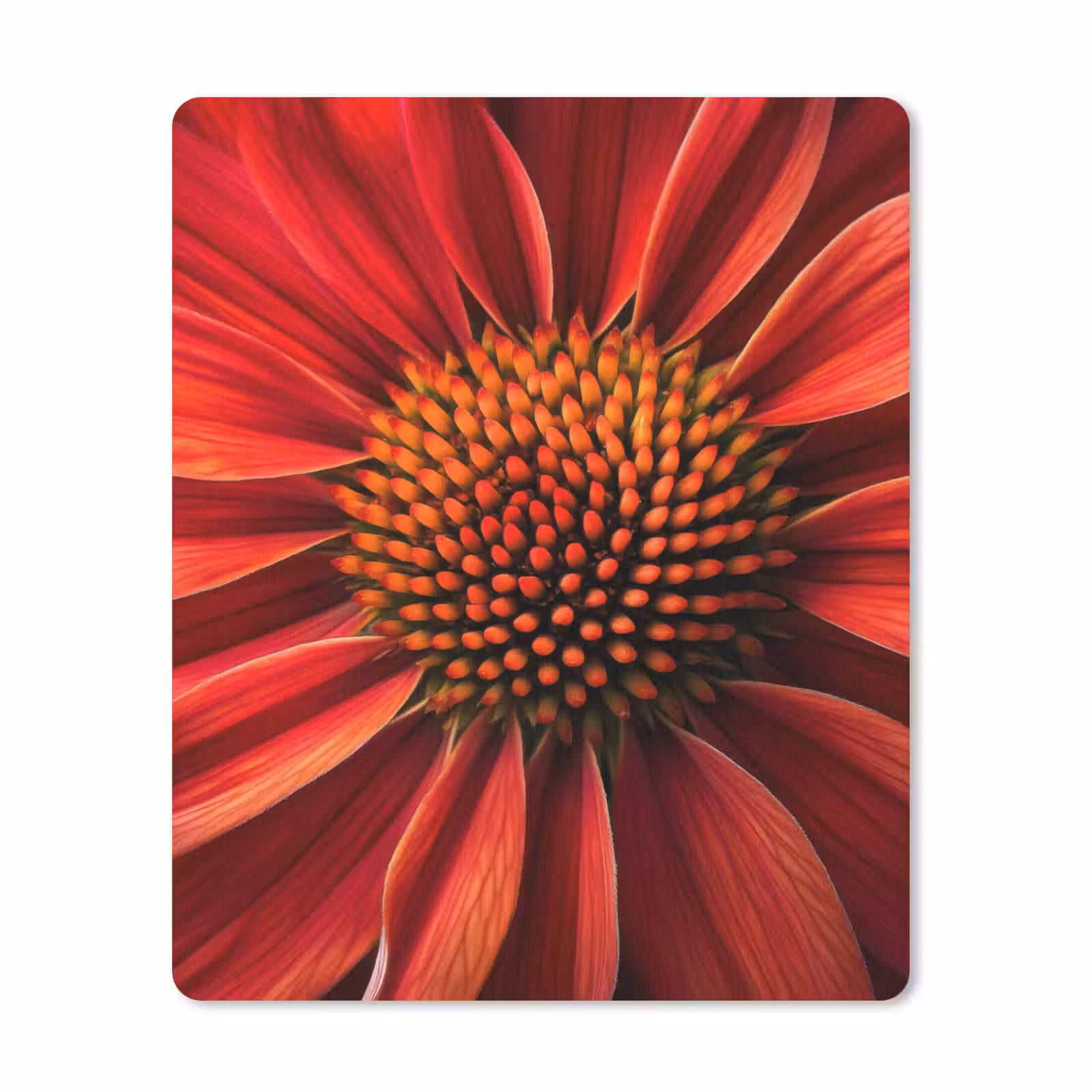Muismat - Close up - Bloem- Rood — 1