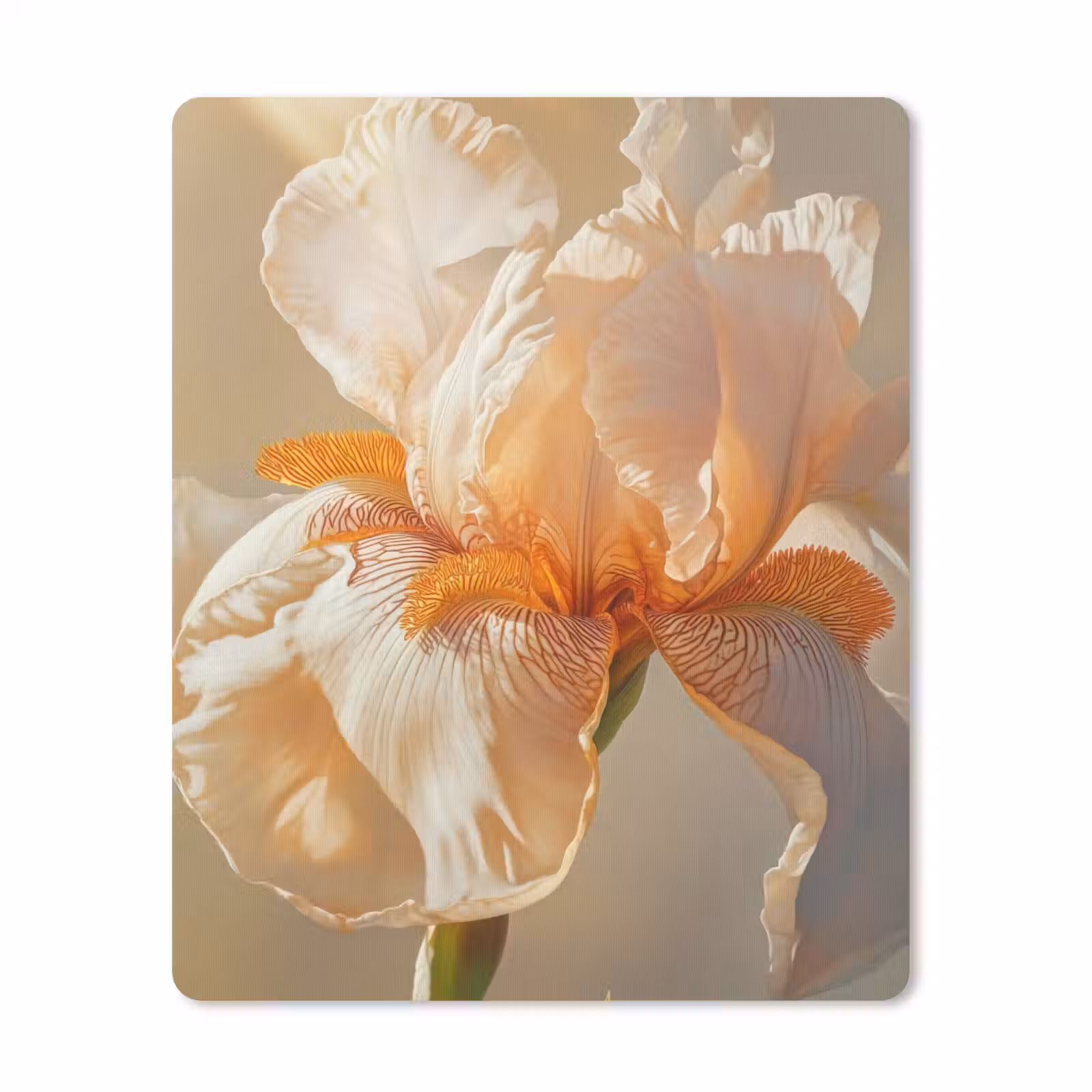Muismat - Close up - Oranje - Iris — 1