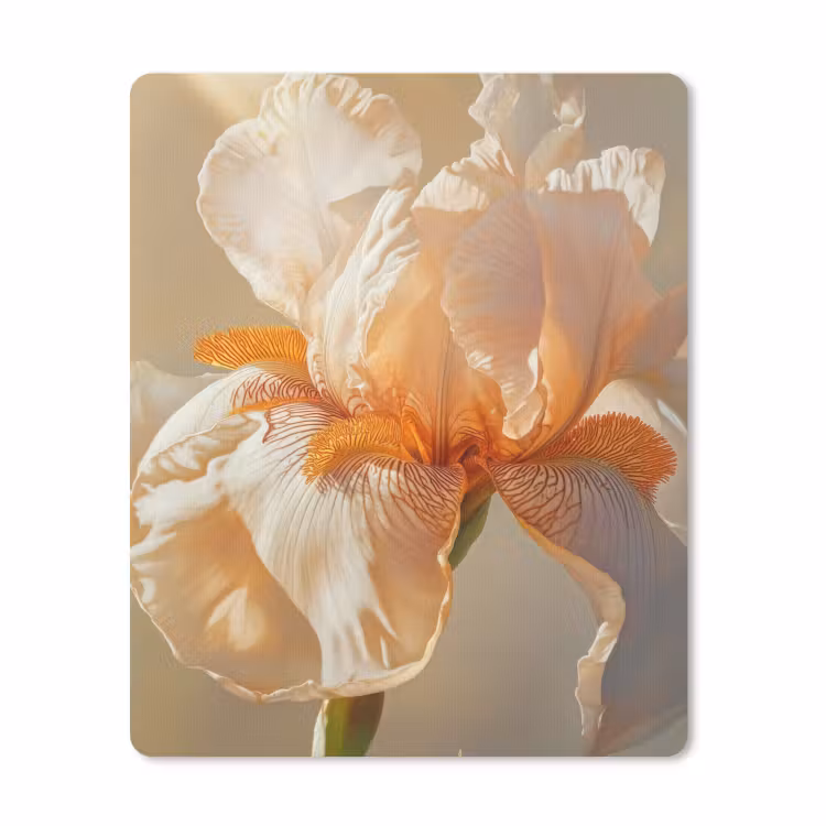 Muismat - Close up - Oranje - Iris — 1