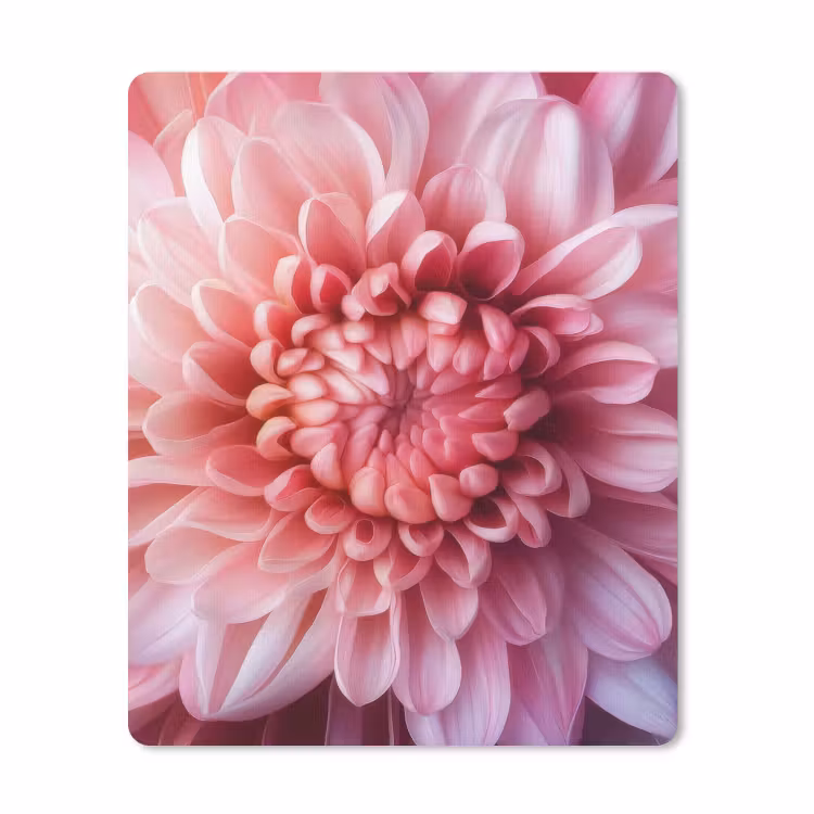 Muismat - Dahlia - Bloem - Close up - Roze — 1
