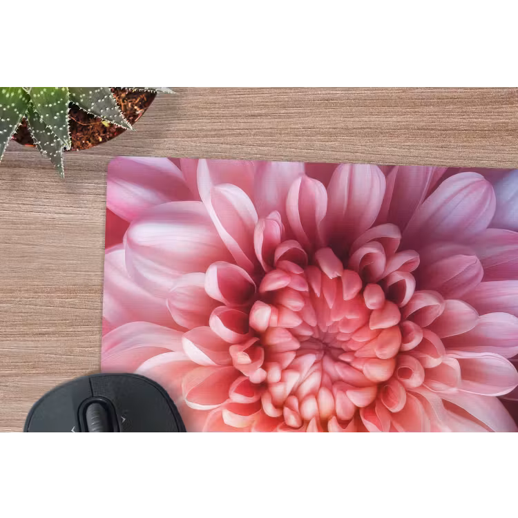 Muismat - Dahlia - Bloem - Close up - Roze — 5