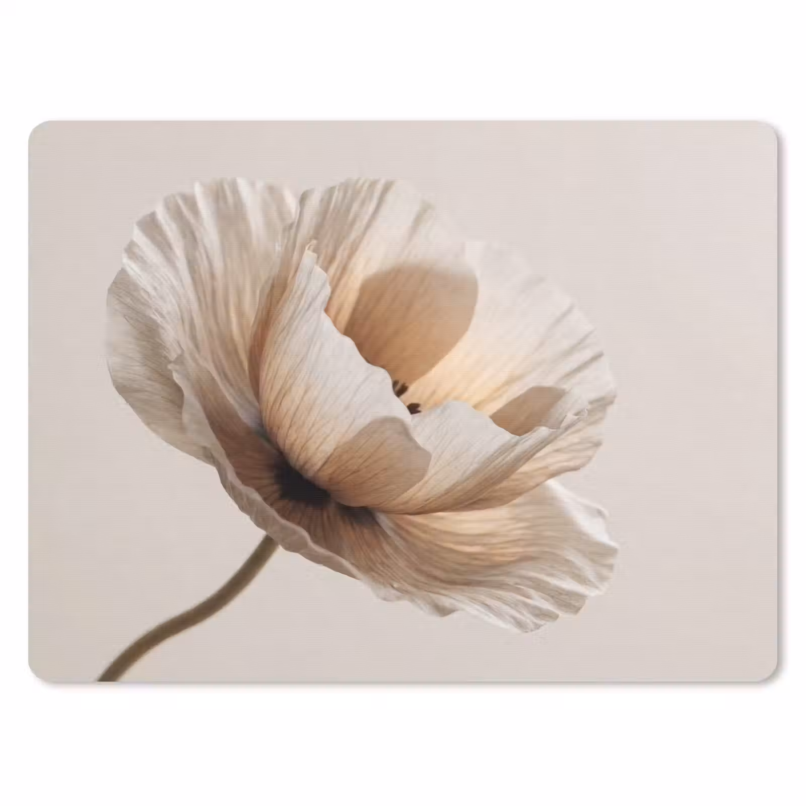 Muismat - Bloem - Beige - Crème — 1