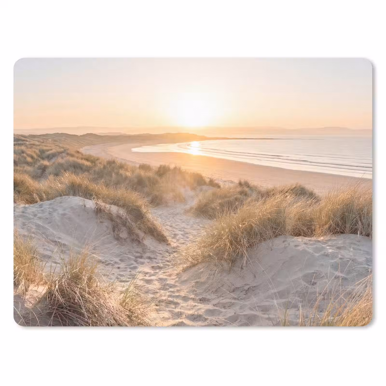 Muismat - Duinen - Strand - Zee — 1