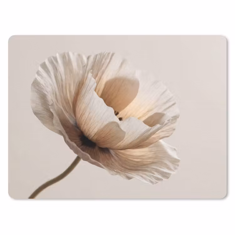 Muismat - Bloem - Beige - Crème — 1