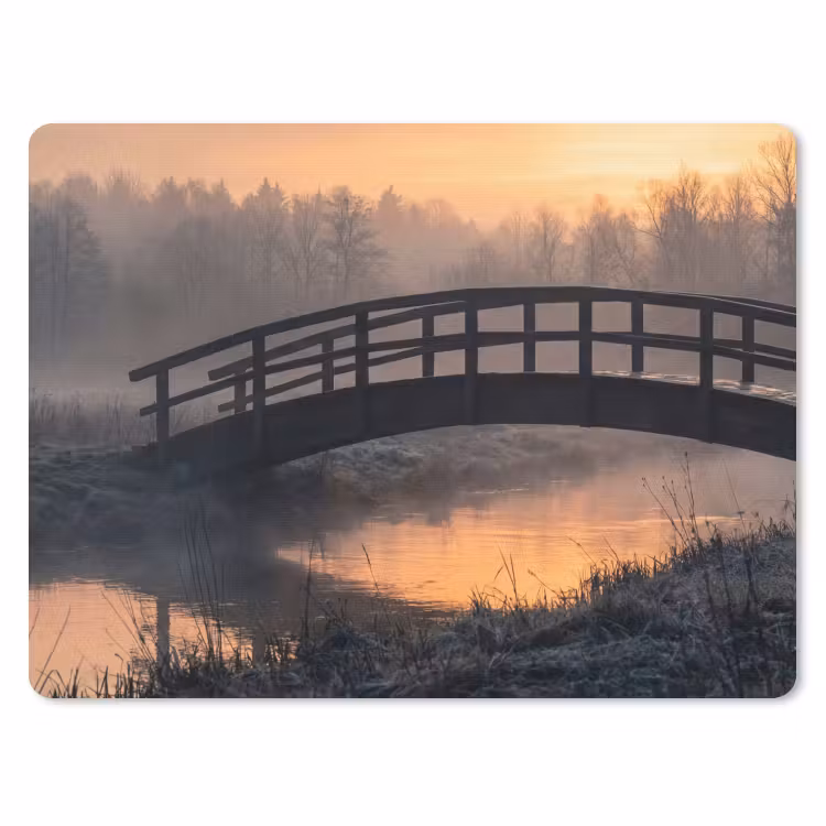 Muismat - Brug - Mist - Bomen - Water — 1