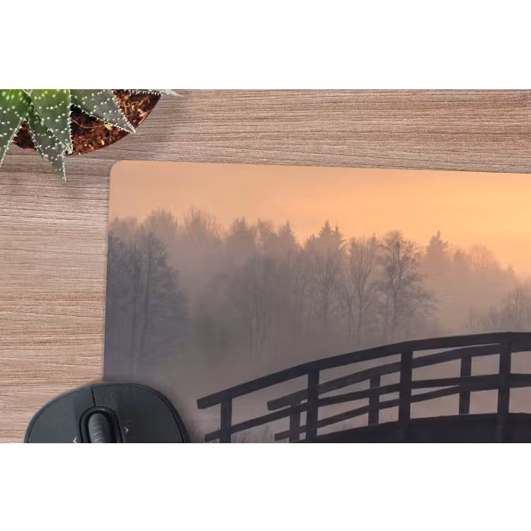 Muismat - Brug - Mist - Bomen - Water — 4