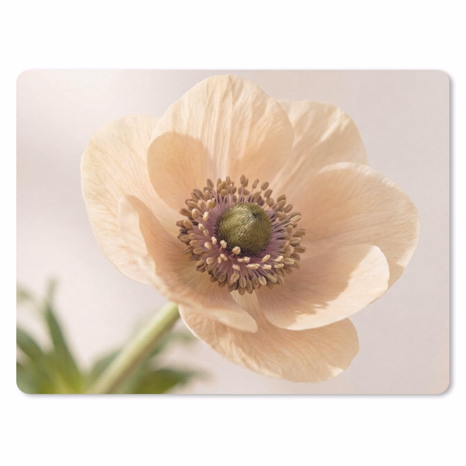 Muismat - Bloem - Minimalistisch - Groen — 1